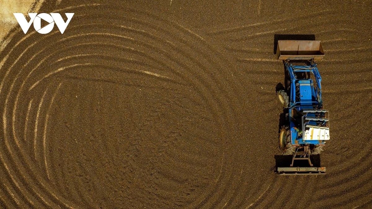 Xuất khẩu cà phê cao nhất từ trước đến nay